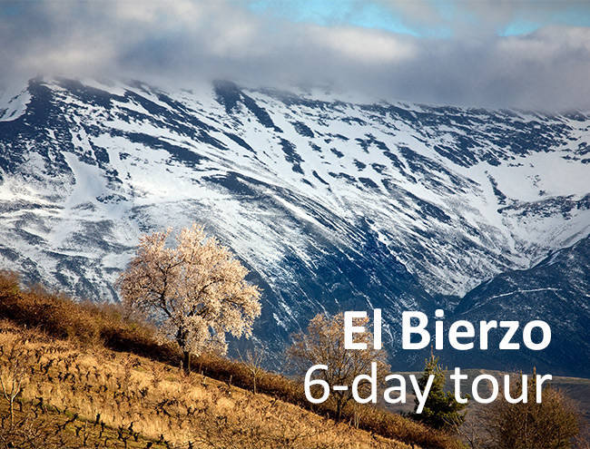 El Bierzo - 6 day tour