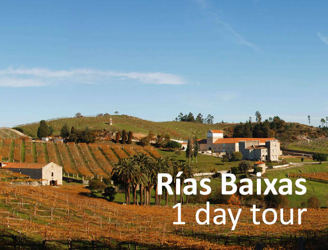 Rías Baixas - 1 day tour