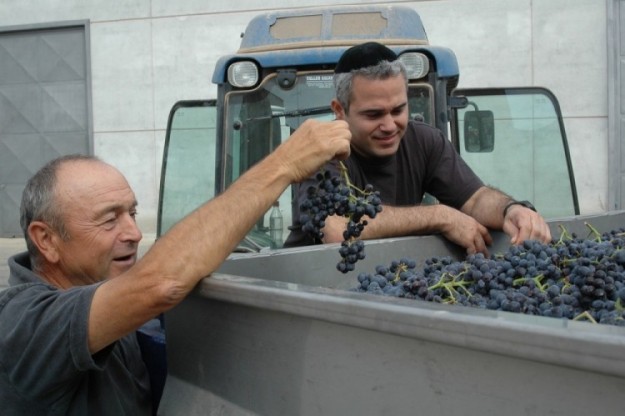 KOSHER WINES RETURN TO SPAIN AFTER 500 YEARS KOSHER WINES RETURN TO SPAIN AFTER 500 YEARS