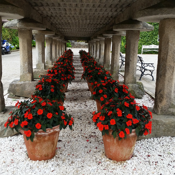 Frau-Rovira Tour RB 1 Day