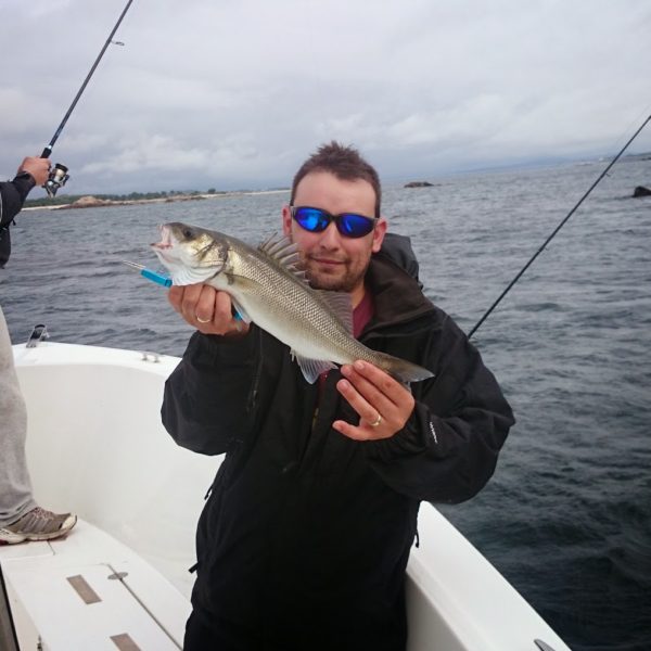 Sea Fishing For Winos And Foodies.