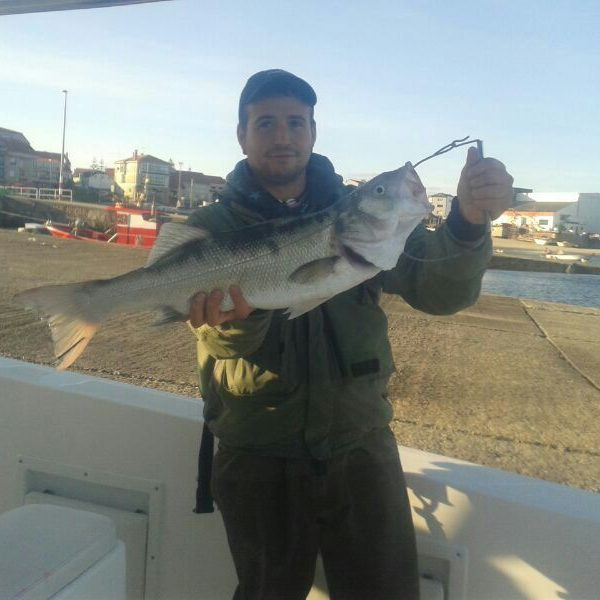 Sea Fishing For Winos And Foodies.