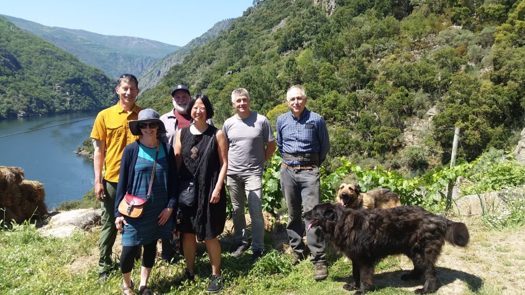 Silice Viticultores Sober Ribeira Sacra Galicia Spain