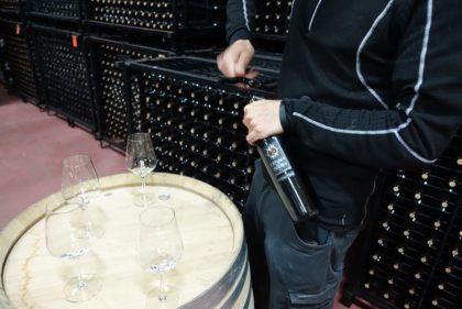 Zamora Toro and Sayago wine regions