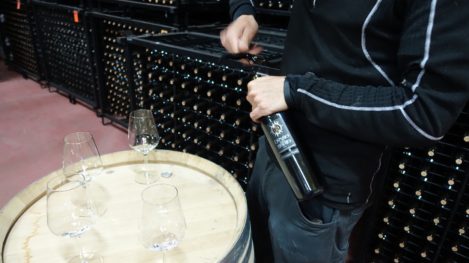 Zamora Toro and Sayago wine regions Zamora Toro and Sayago wine regions